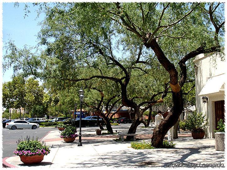 Homewood Suites Tucson St. Philip'S Plaza University Eksteriør bilde