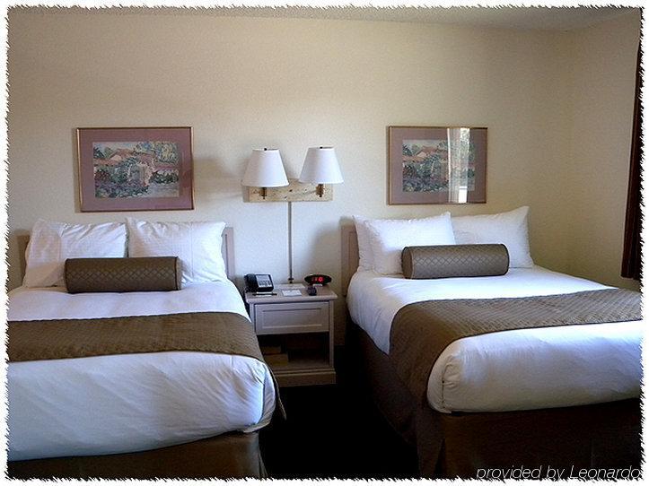 Homewood Suites Tucson St. Philip'S Plaza University Eksteriør bilde